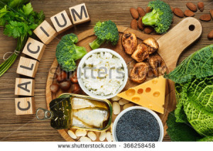 stock-photo-foods-rich-in-calcium-such-as-sardines-bean-dried-figs-almonds-cottage-cheese-hazelnuts-366258458